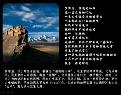 搜狐极速版